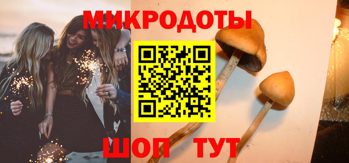 Псилоцибиновые грибы Psilocybine cubensis  Вход с VPN  Среднеуральск 